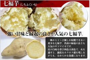 焼き芋