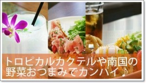 島ロハス