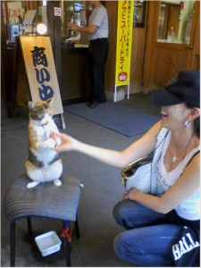 猫の焼き芋屋