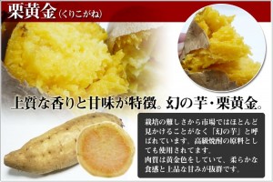 焼き芋