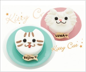 猫用 ケーキ