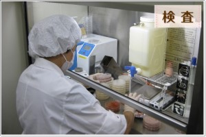 パステル 人気 メニュー
