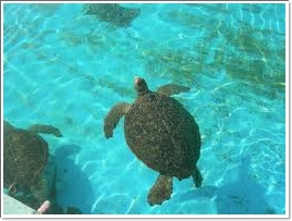 今年の ２０１６年 平成２８年 ゴールデンウィーク Gw の期間はいつからいつまで