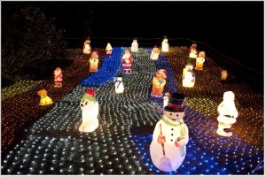 こどもの国 クリスマス