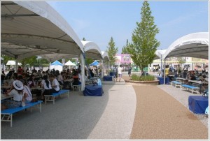 肉フェス 新潟 画像
