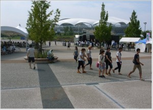 肉フェス 新潟 画像
