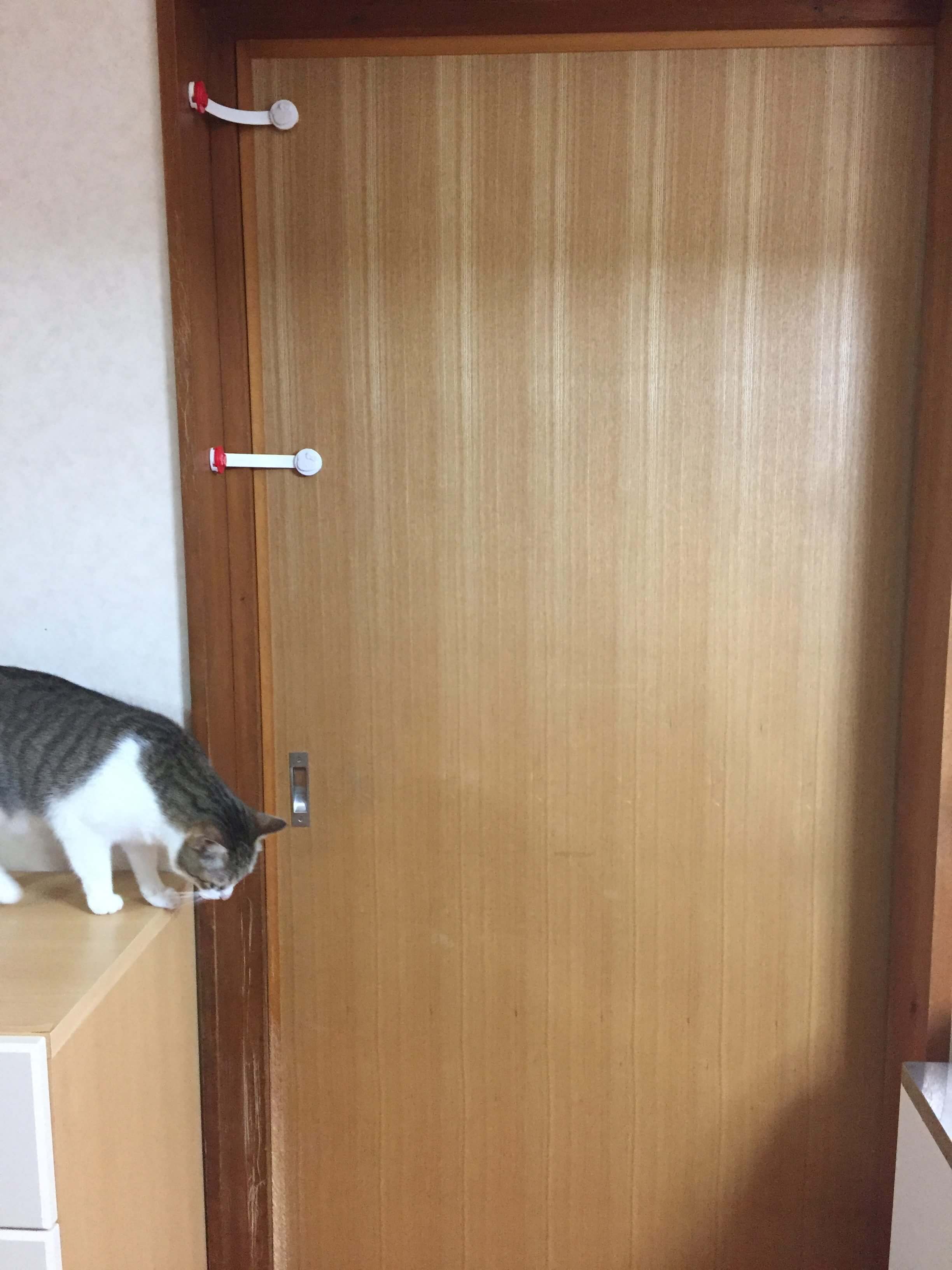 猫が押入れや襖 引き戸を開けない対策方法 ドアストッパーを使ってみた